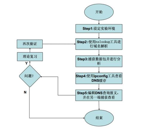 DNS域名服務(wù)協(xié)議實驗在計算機網(wǎng)絡(luò)技術(shù)教學(xué)中的實踐與探索